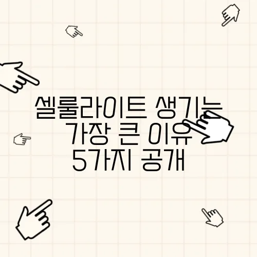 셀룰라이트 생기는 가장 큰 이유 5가지 공개