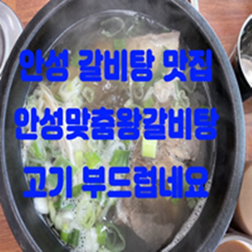  안성 갈비탕 맛집 안성맞춤왕갈비탕 고기 부드럽네요