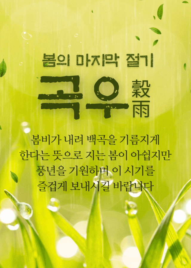 곡우의 의미와 봄비 내리는 풍경을 담아낸 절기 인사 이미지
