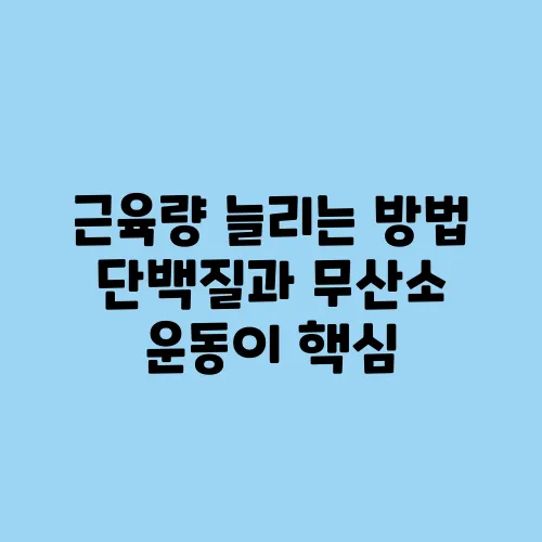 근육량 늘리는 방법 단백질과 무산소 운동이 핵심