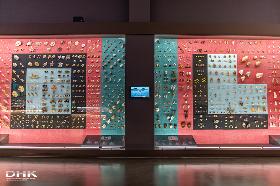 국내 1박2일 여름 여행 추천1박2일 서해 섬여행 신안 가볼만한곳 자은도 1004뮤지엄파크 세계조개박물관, 해바라기 3