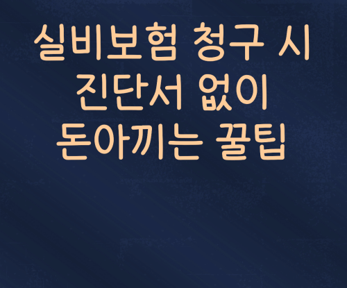  실비보험 청구 시, 비싼 진단서 없이 돈아끼는 꿀팁
