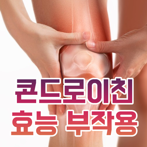 콘드로이친 효능 부작용 확인