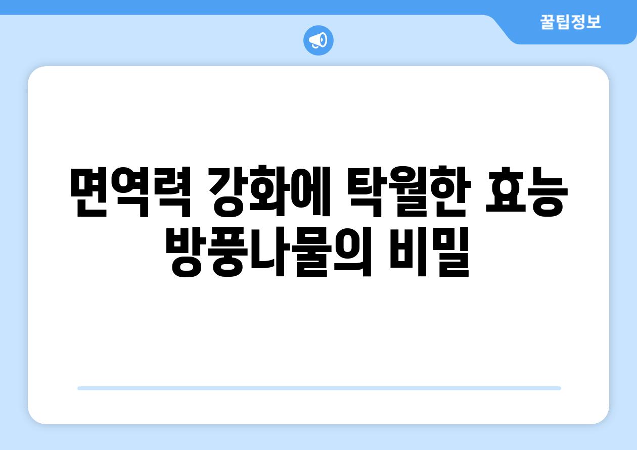 면역력 강화에 탁월한 효능 방풍나물의 비밀