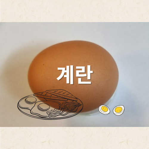 계란 정보글의 썸네일입니다.