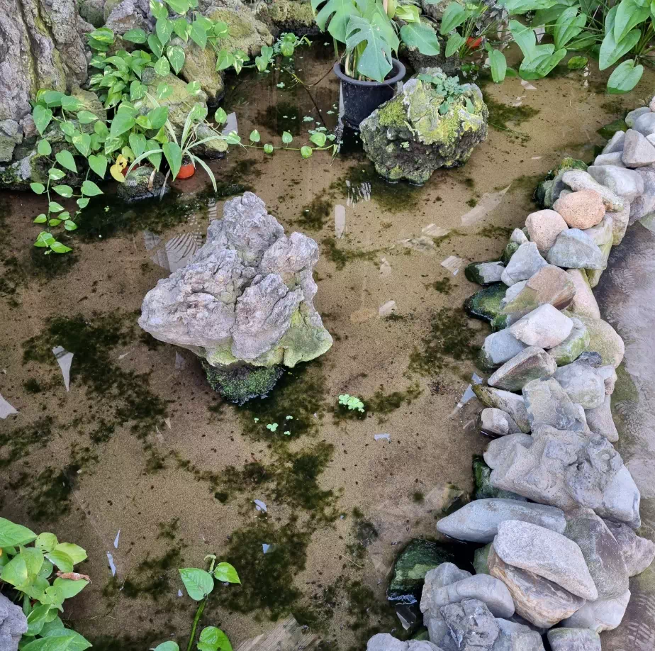 맑은물