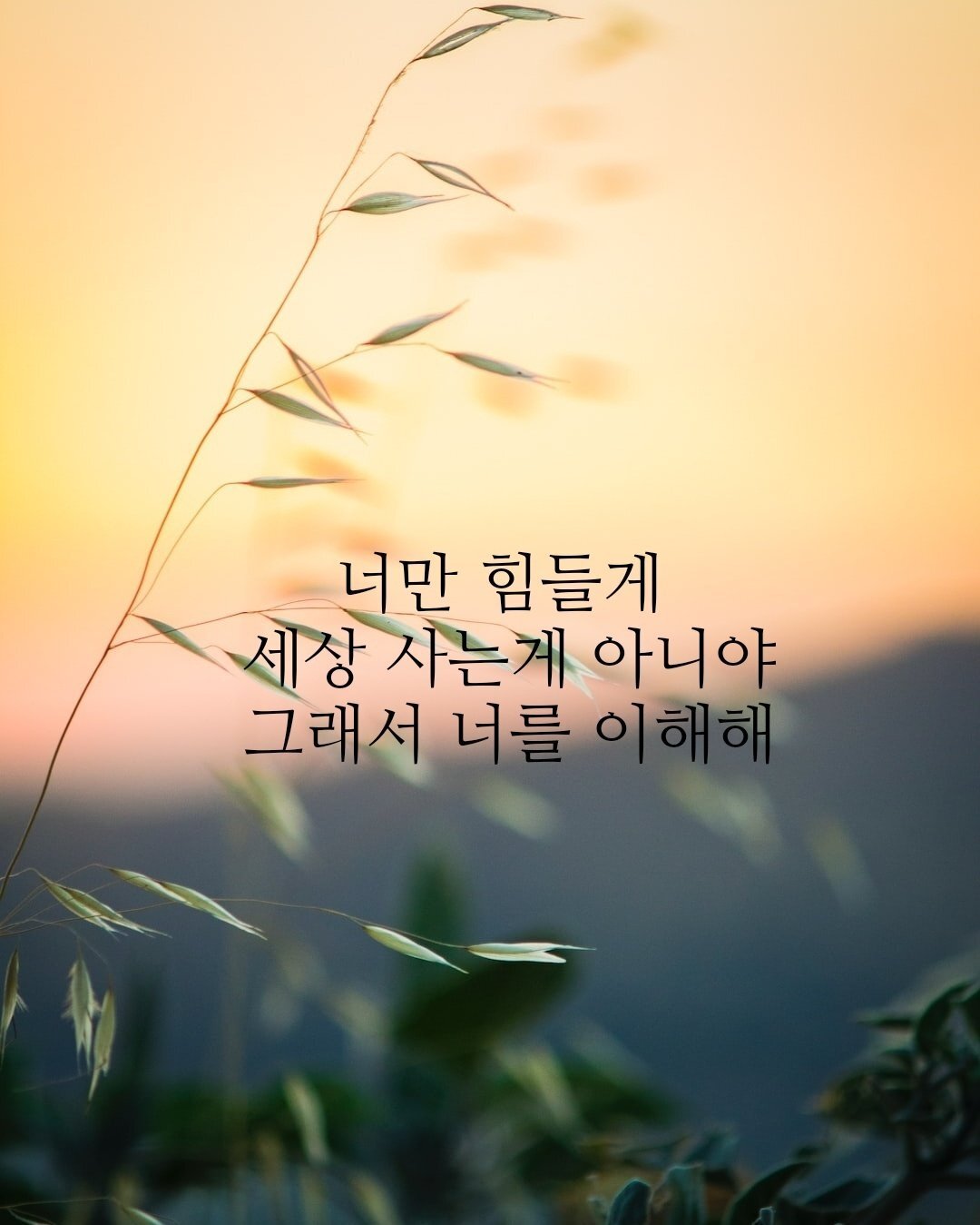 지혜(智慧) 가 주는 인생길