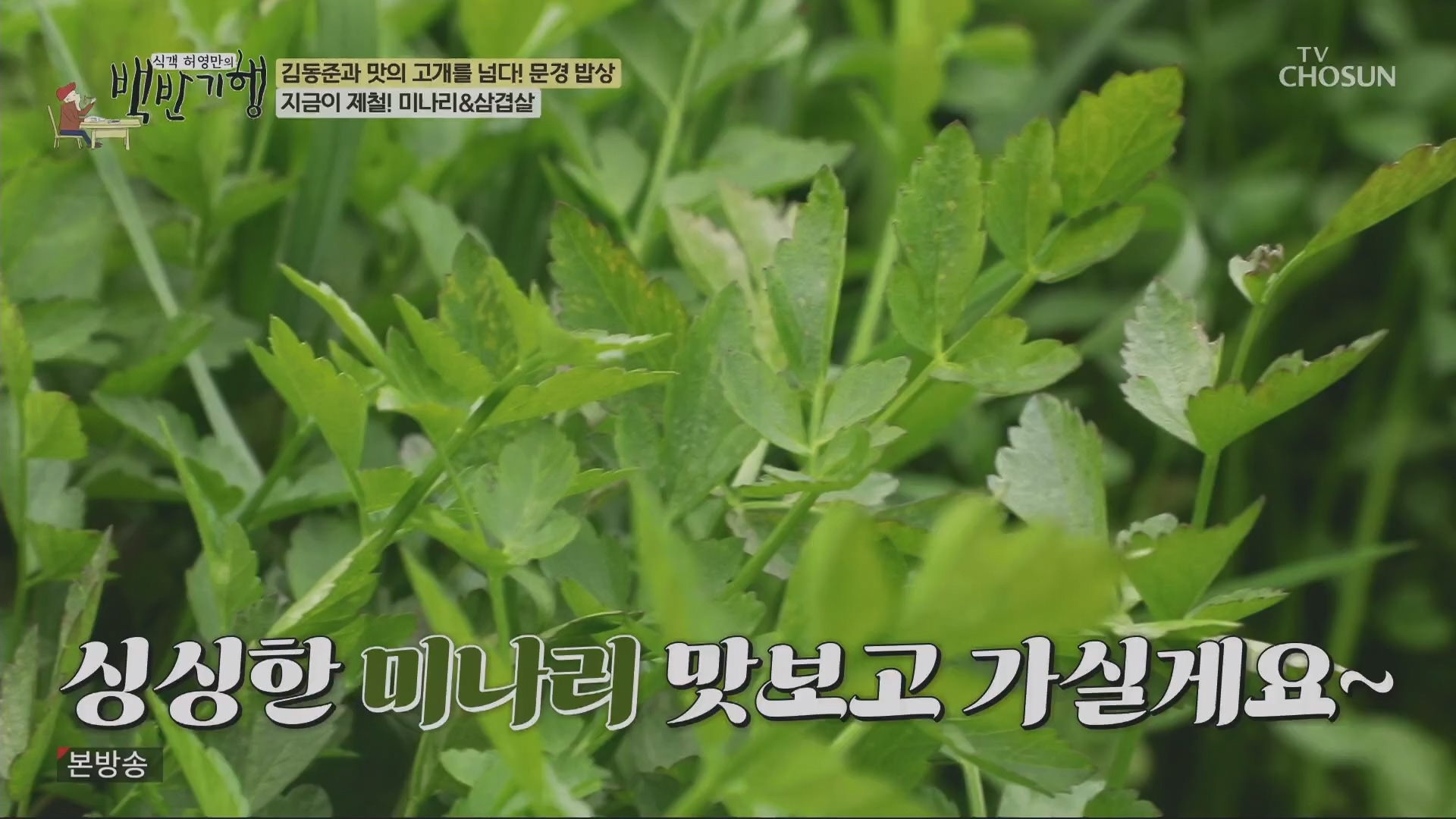 식객 허영만의 백반기행.E245.240428p.H264-F1RST.mp4_20240429_211853.140.jpg