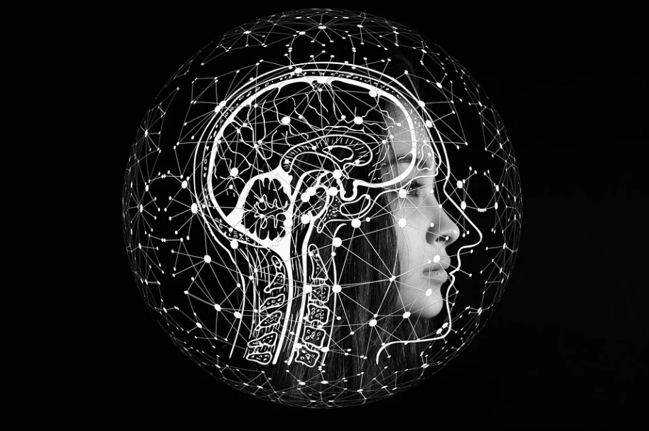  美 FDA, 일론머스크 뉴럴링크 '사람 뇌 칩 이식' 불허