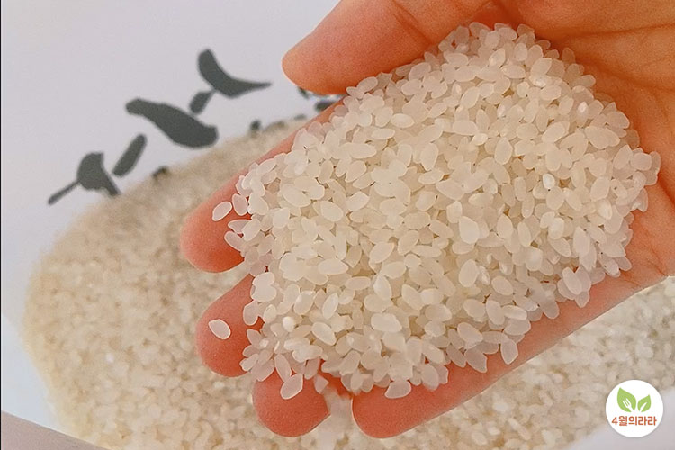 손에올린쌀의모습