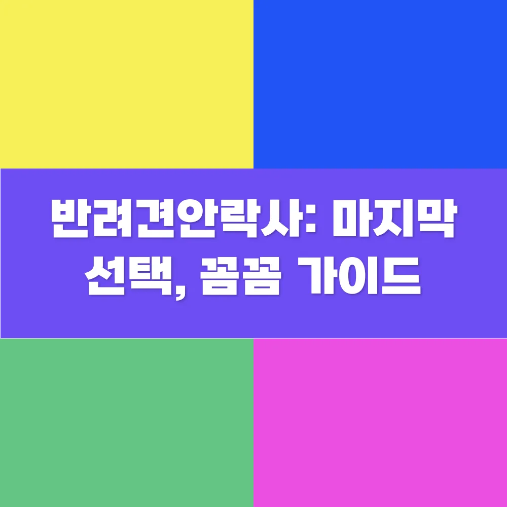 썸네일 이미지