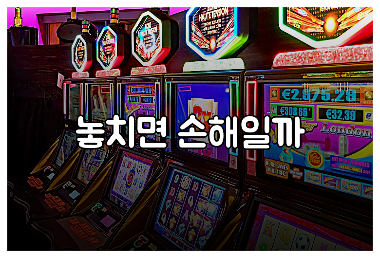 놓치면 손해일까