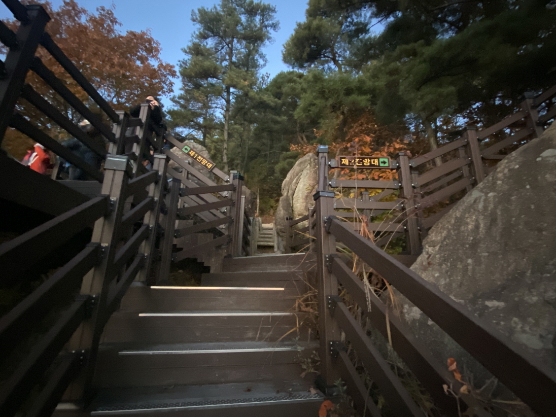 1전망대-2전망대-선택
