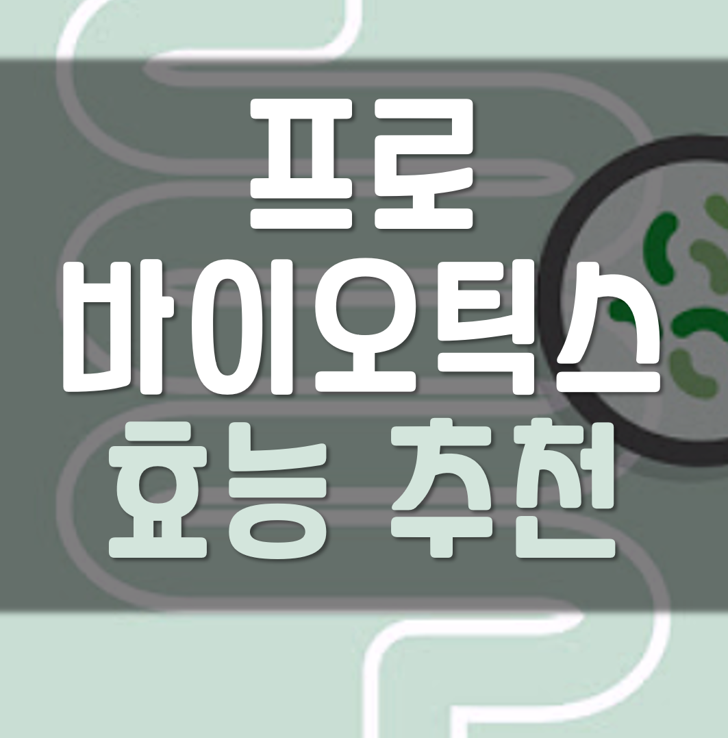  프로바이오틱스 유산균 추천 효능