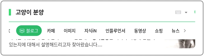 고양이 분양_1_subsection