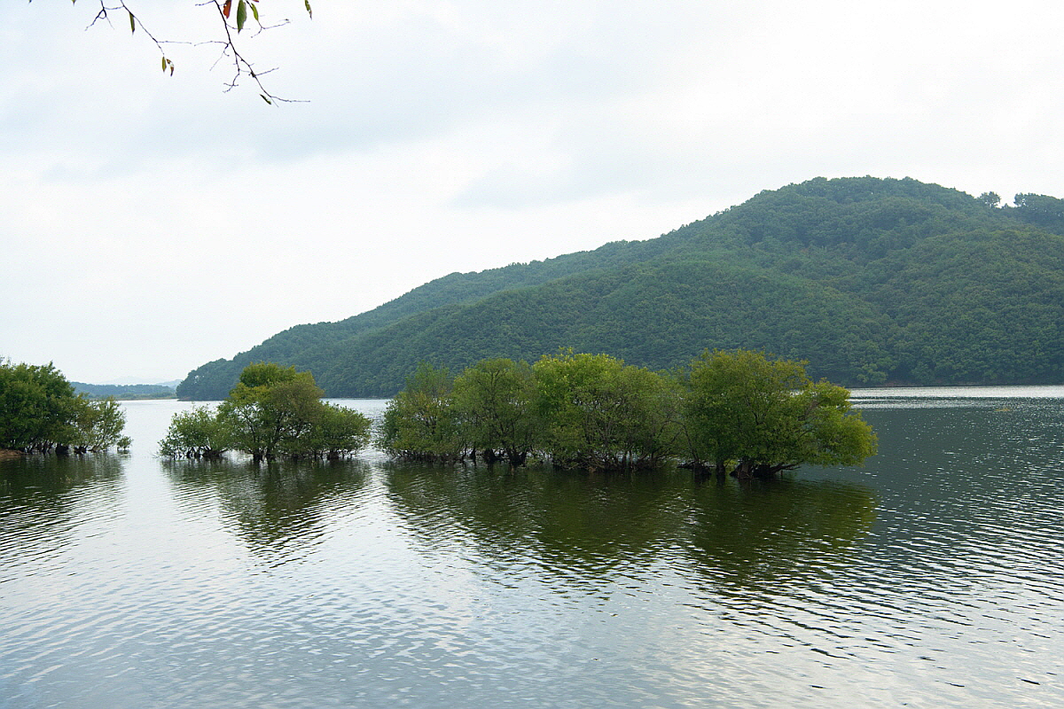 아산 천연의 숲길