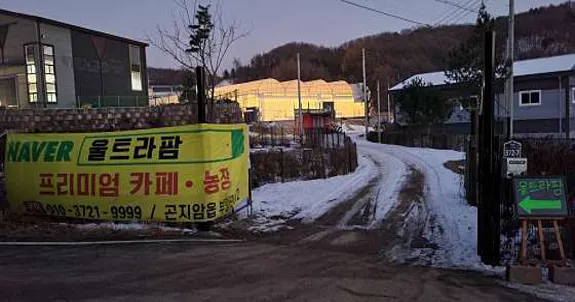 울트라팜