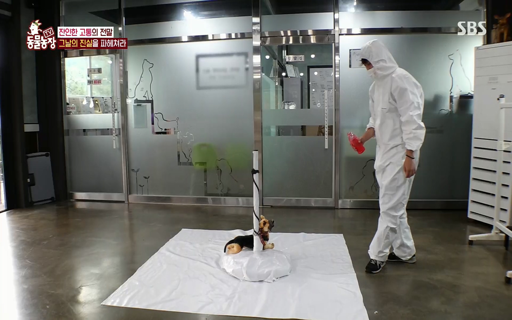 TV 동물농장.E1077.220710p.H264-F1RST.mp4_20220710_175439.617.jpg