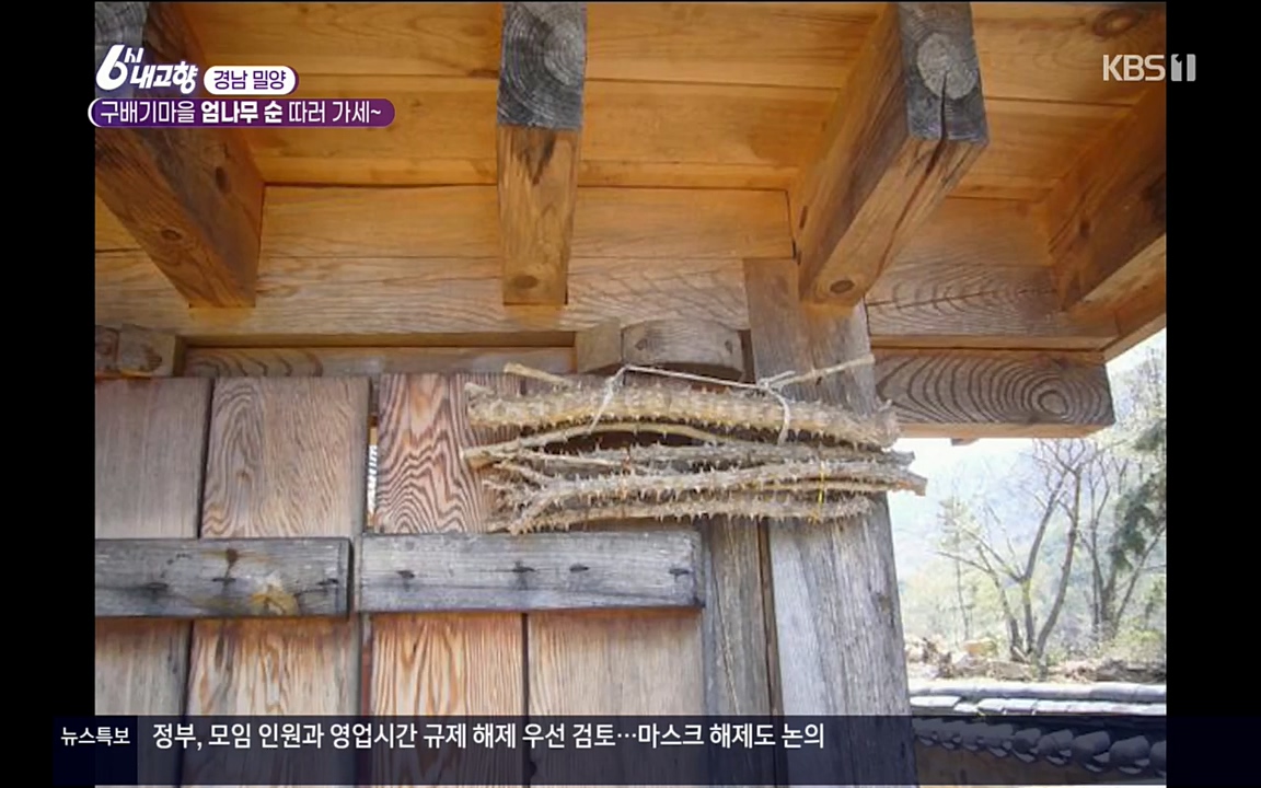 6시 내고향.E7510.220414p.H264-F1RST.mp4_20220419_182208.031.jpg