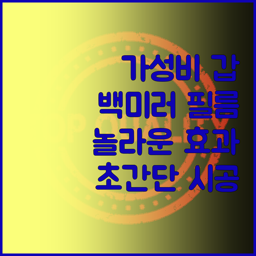 자동차 백미러 필름, 저렴한 가격에 