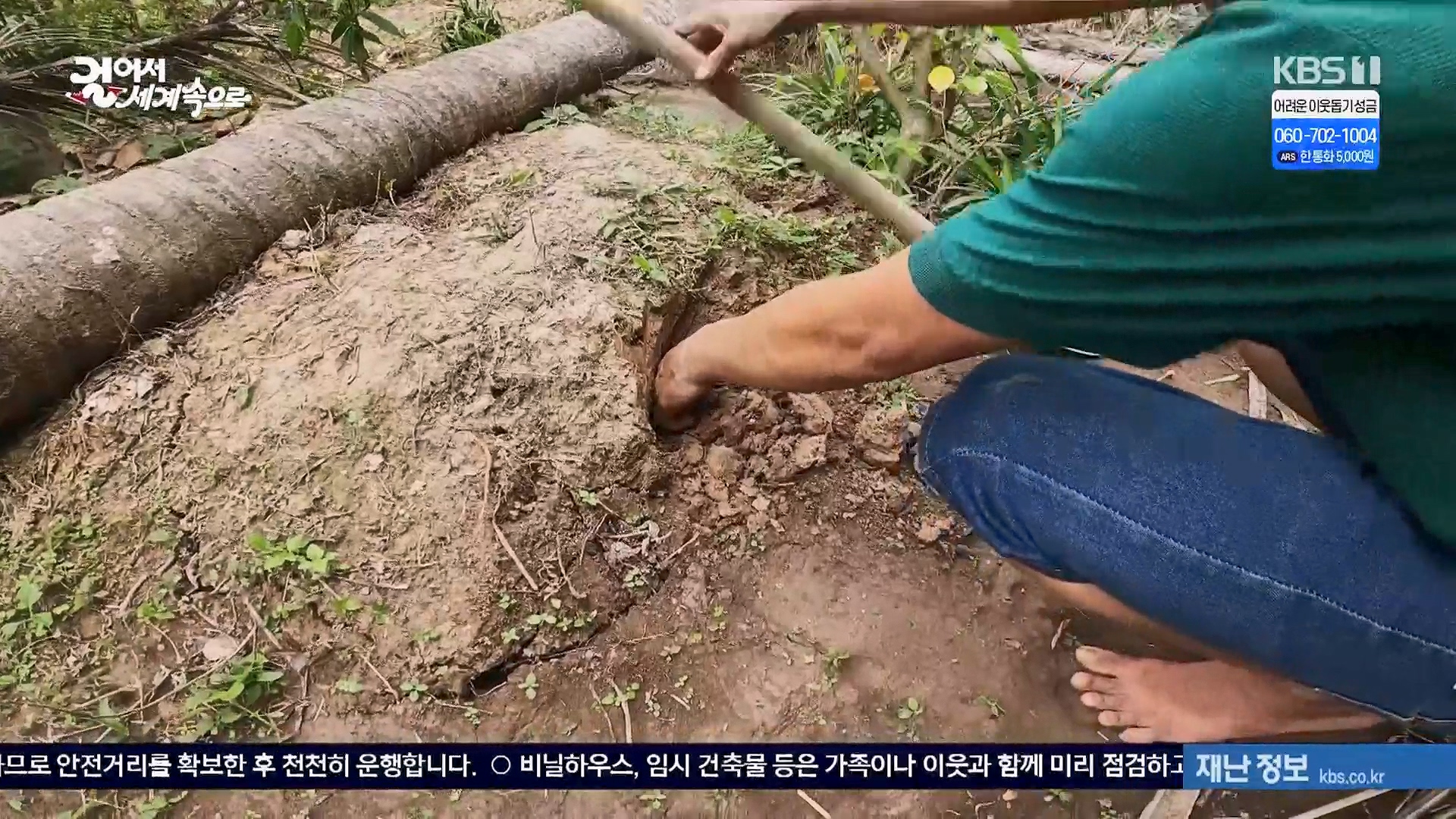 걸어서 세계속으로.E826.240120p.H264-F1RST.mp4_20240716_201913.207.jpg