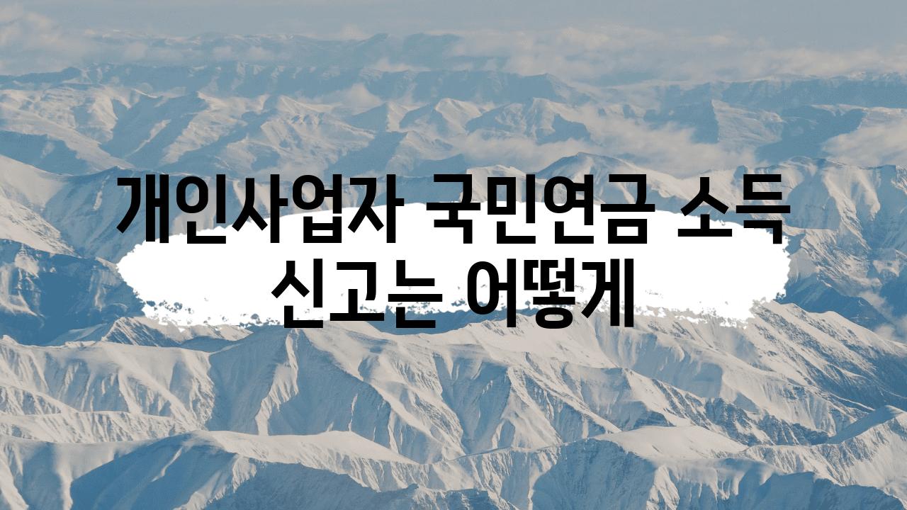 개인사업자 국민연금 소득 신고는 어떻게