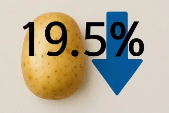 하지 날짜 24절기 망종 소서 전통음식까지_31