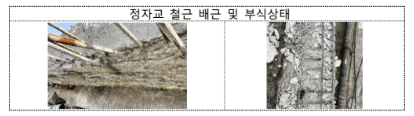 정자교 철근 부식상태