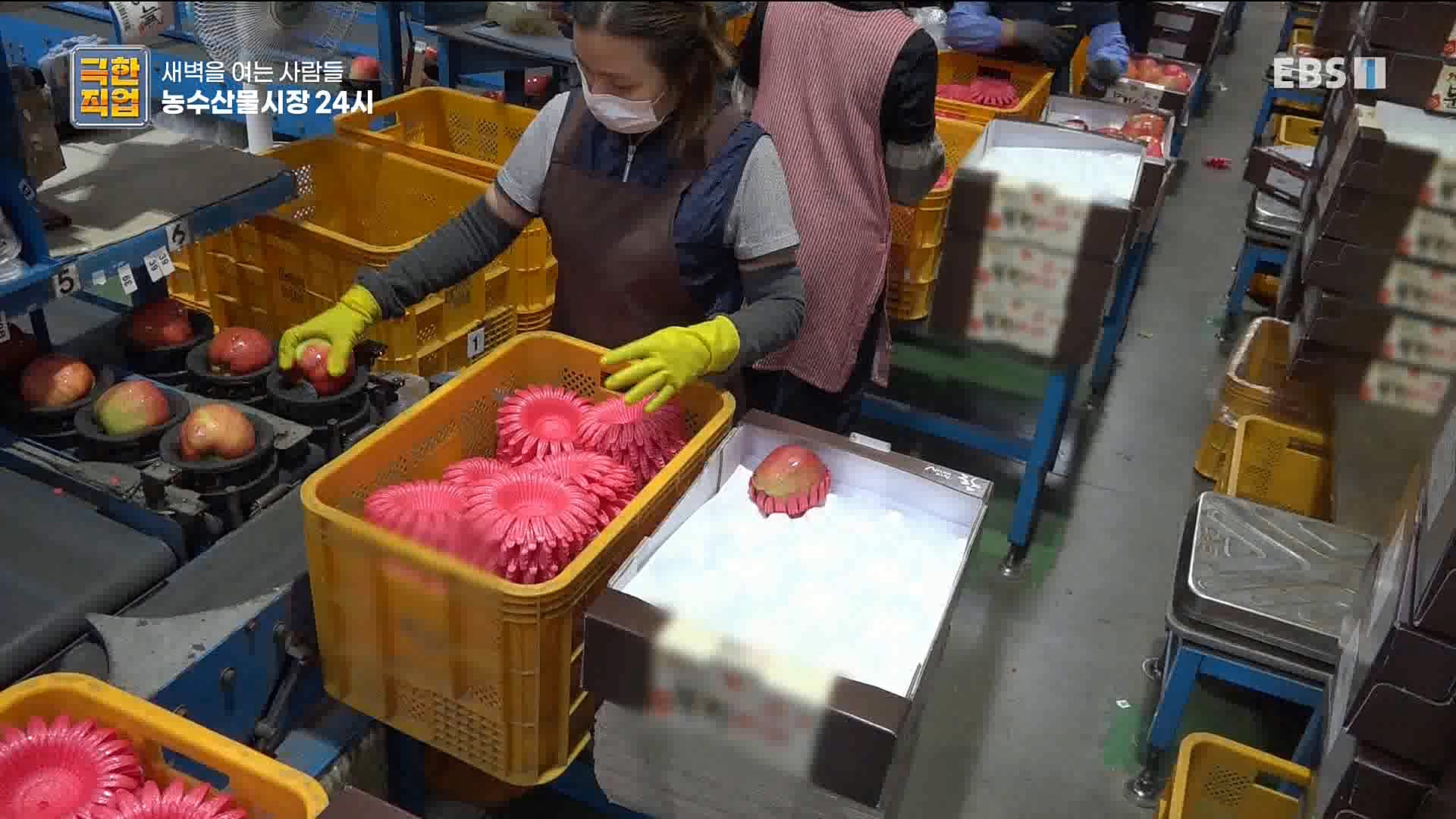 농수산물 시장 24시.mp4_20221020_161728.474.jpg