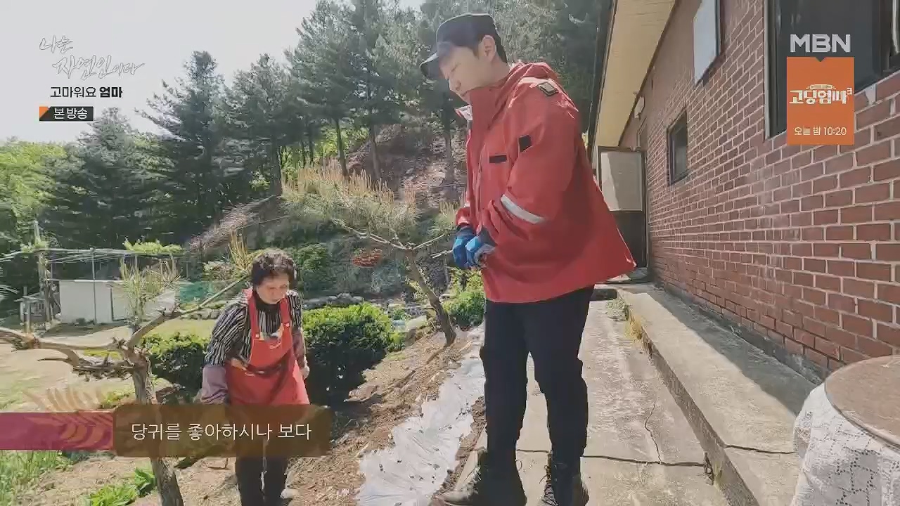 나는 자연인이다.E554.230518p.H264-F1RST.mp4_20230518_194521.941.jpg