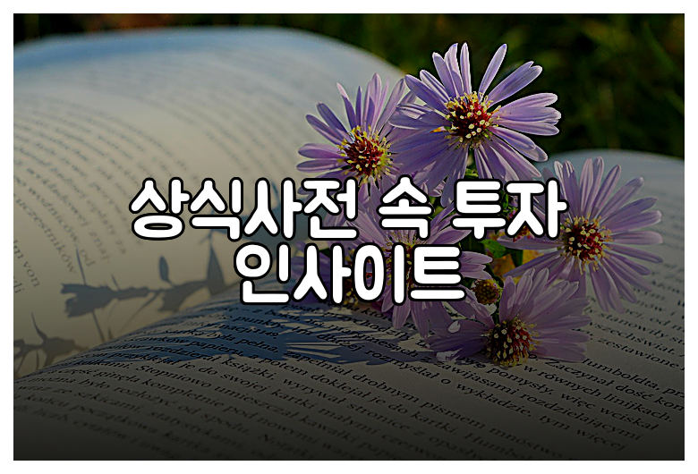 상식사전 속 투자 인사이트