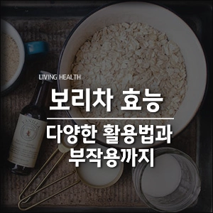  보리차 효능 다양한 활용법과 부작용까지