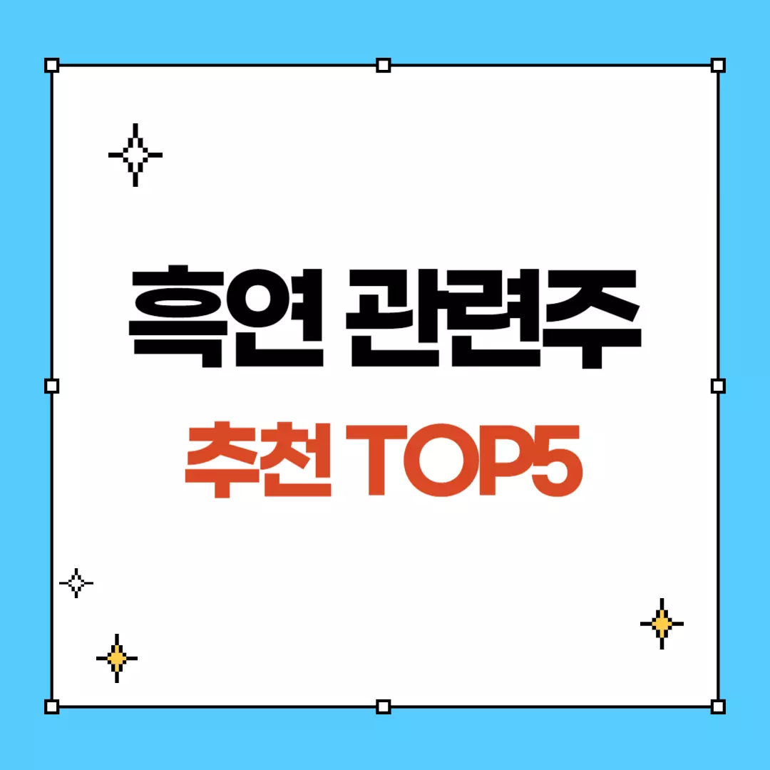 흑연 관련주 TOP5