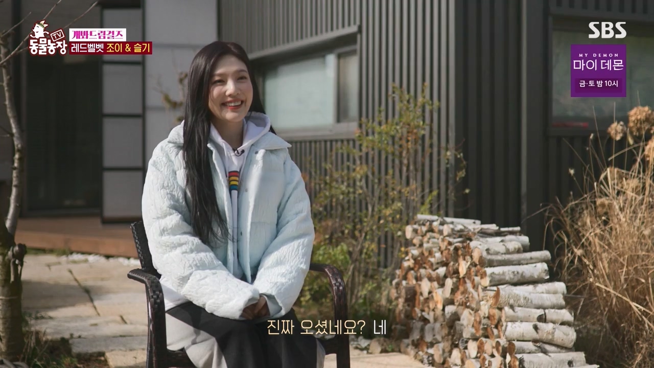 TV 동물농장.E1147.231127p-NEXT.mp4_20231126_170354.218.jpg