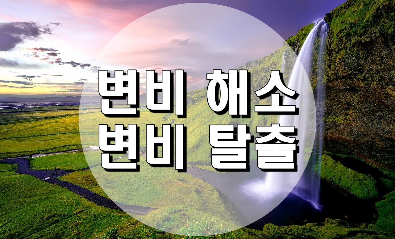  변비 해소, 변비 탈출