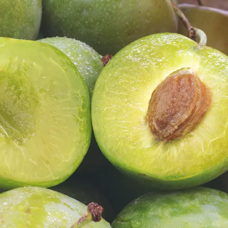 Kakadu plum