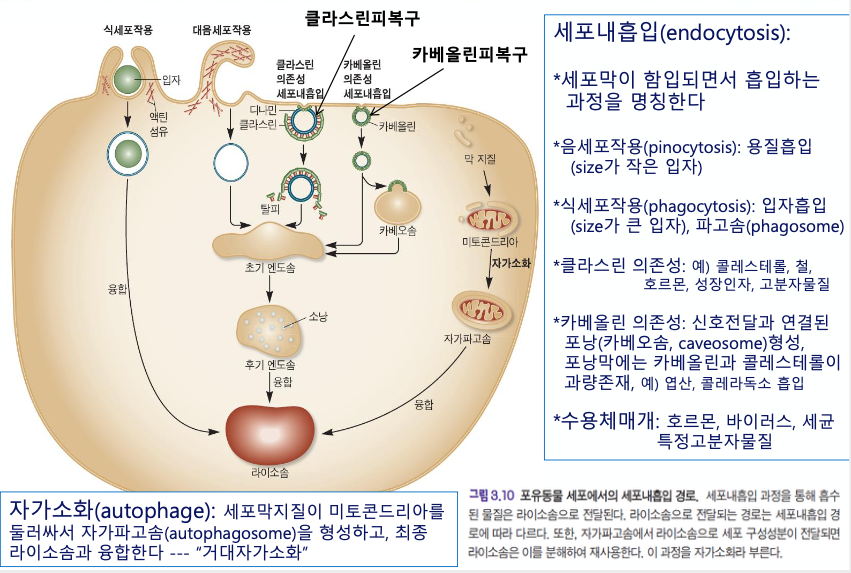 article thumbnail image