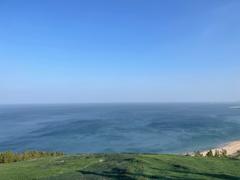 잔디-뒤로-바다가-펼쳐진-사진