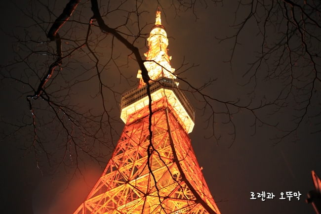 tokyo orange illumination 2019#9