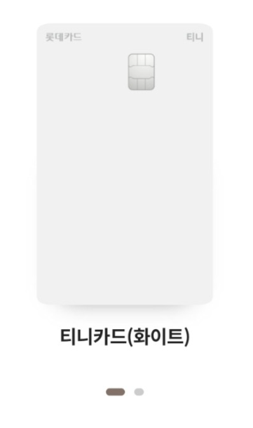 선불식 초등학생 용돈카드 티니카드