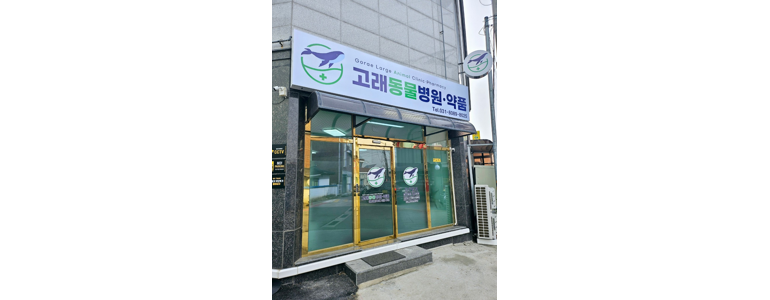 포천시 동물병원