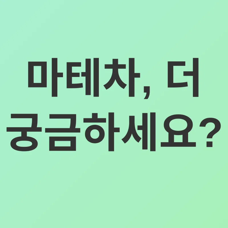 마테차 다이어트_4