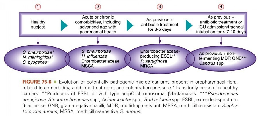 Evaluation of potenitally pathogenic microorganisms present in oropharyngeal flora&#44; related to commorbidity&#44; antibiotic treatment&#44; and colonization pressure.