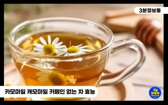 카모마일 차 효능 마시는법_6