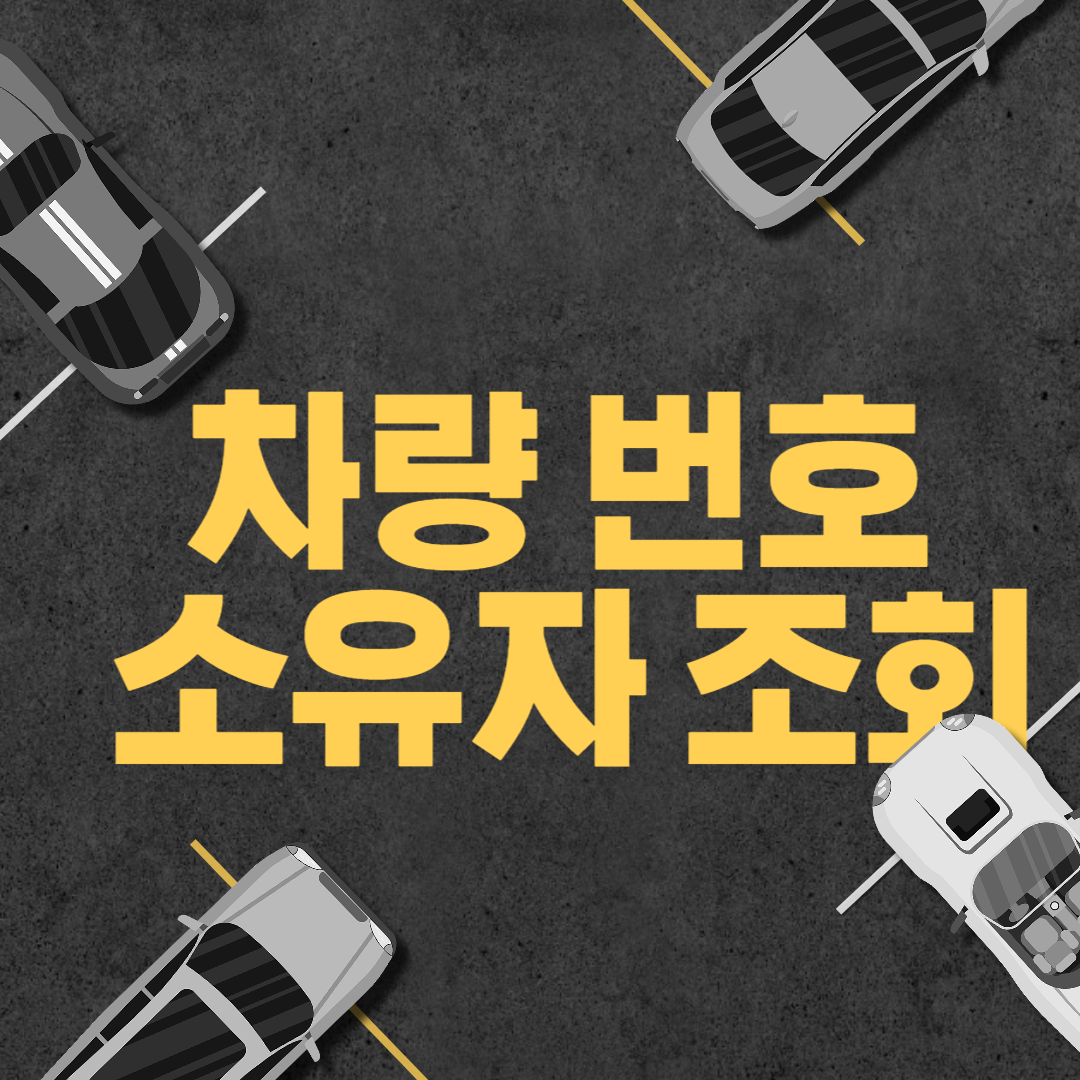 차량 번호 소유자 조회