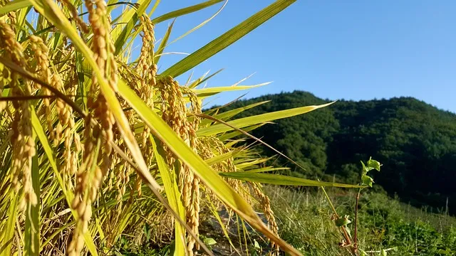 문경역 ktx 개통 판교 주차 시간표_2