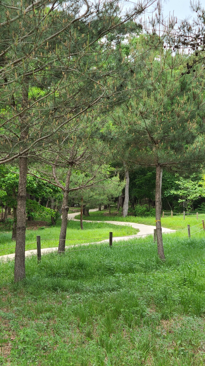 동구릉숲길개방