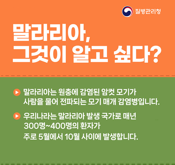 말라리아 광고 












멀라리아 썸네일 이미지