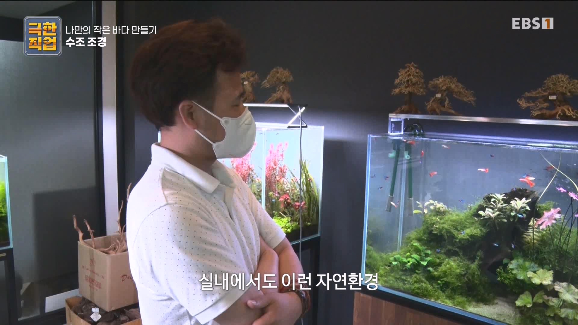 [극한 직업] 수조 조경.mp4_20230822_204225.131.jpg