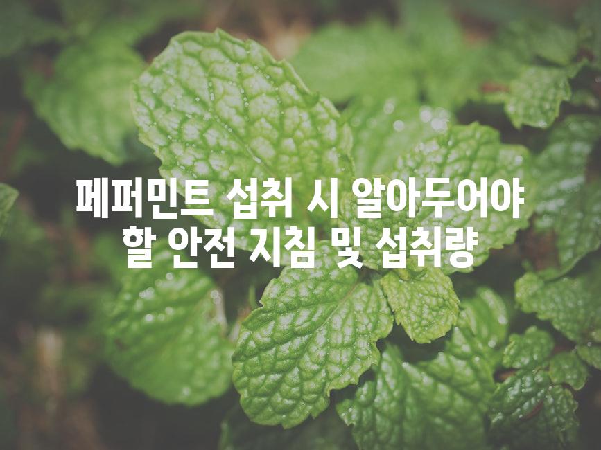 페퍼민트 섭취 시 알아두어야 할 안전 지침 및 섭취량